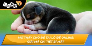 mơ thấy chó đẻ