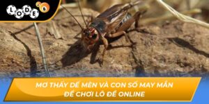 mơ thấy dế mèn